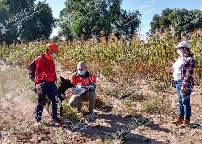 Con drones y perros siguen buscando a Juan de 7 años en Tecamachalco