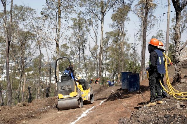 Derribarán 100 árboles por nuevo fraccionamiento en Amalucan 