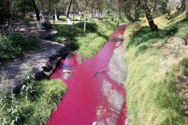 Profepa investiga contaminación en río Cotzala de Texmelucan
