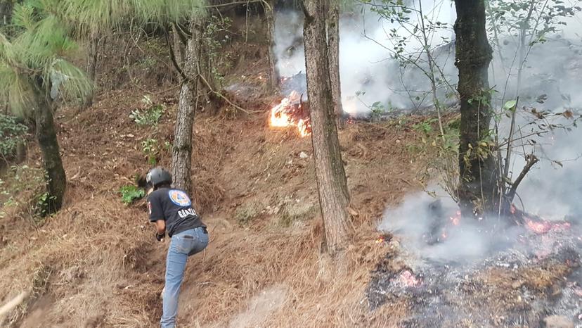 Consumen 8 incendios decenas de hectáreas en Huauchinango