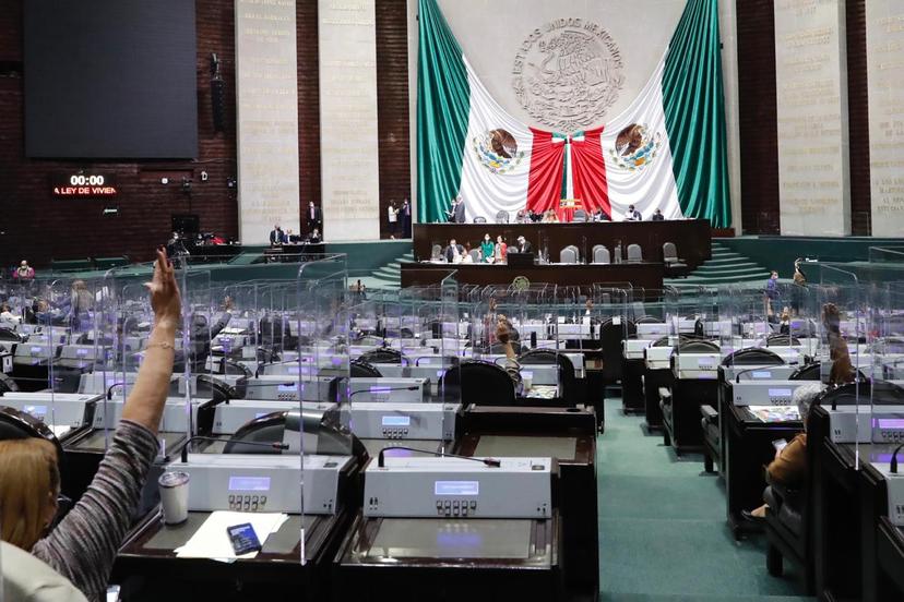 Ellos serán los diputados federales de Puebla a partir de septiembre