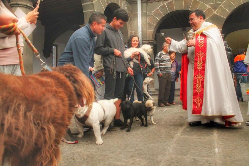 GALERÍA En Puebla, hasta las mascotas piden la protección divina