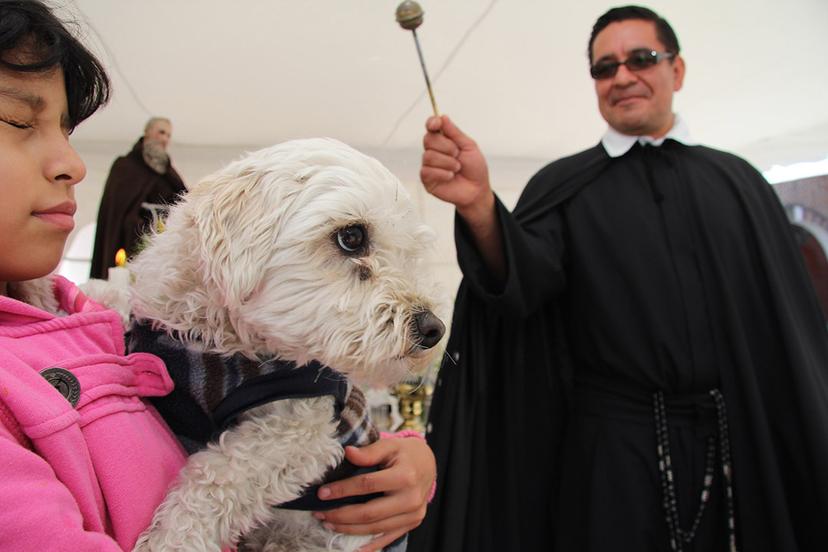 GALERÍA En Puebla, hasta las mascotas piden la protección divina