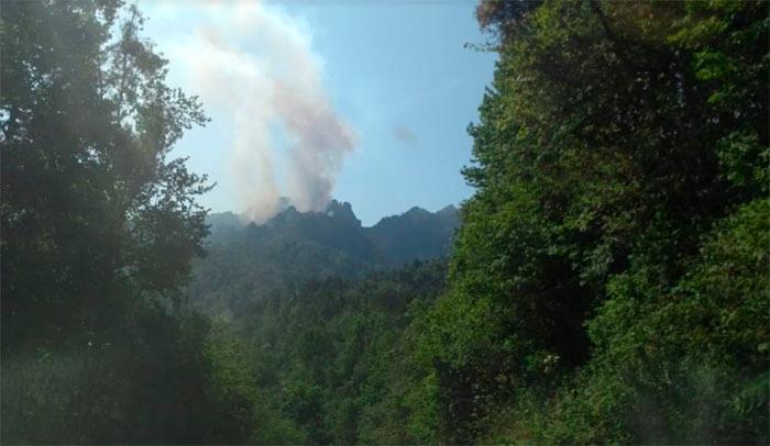 Incendio consume bosque en el cerro de Zempoala