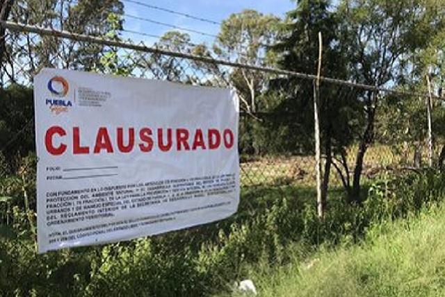 Edil de Cuautlancingo asegura que no autorizó tala En Los Viveros 