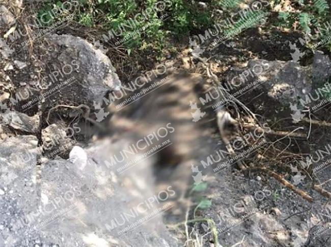 Hallan restos humanos semi enterrados en Tlacotepec