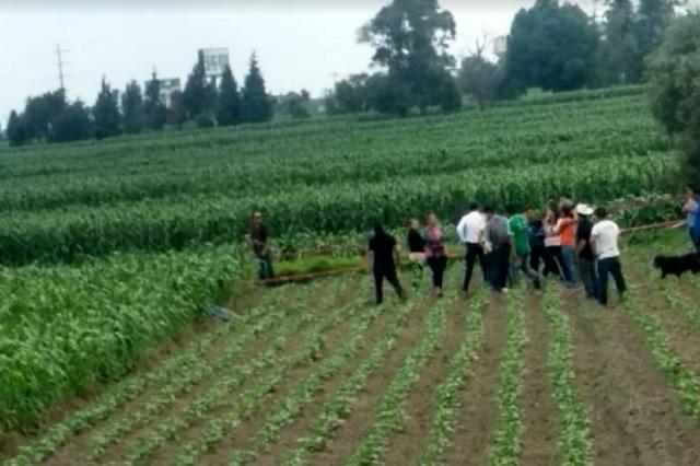Encuentran cadáver de mujer entre los límites de Puebla y Tlaxcala