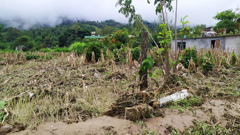 Denuncian desinterés de autoridades por afectados tras lluvia en Tlaola