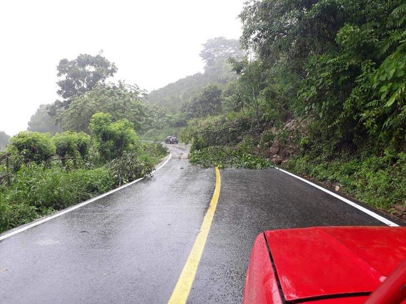 Afectan 40 deslaves por lluvias a carreteras de Sierra Norte