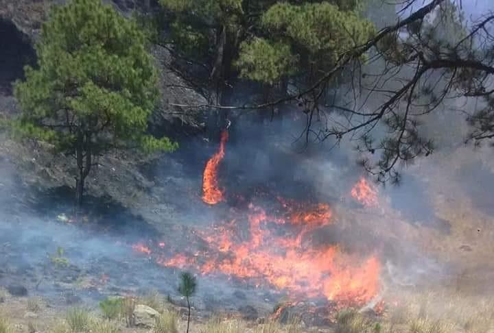 Incendio consumió 10 hectáreas en Teotlalcingo
