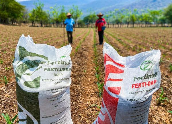 Investigarán abusos de edil de Huehuetla en entrega de fertilizantes