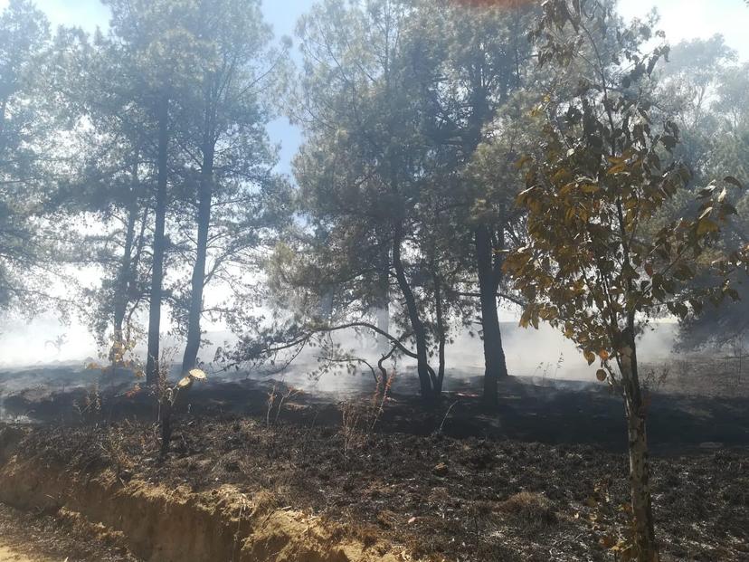 Incontrolable incendio en parque Ixta-Popo, lleva tres días