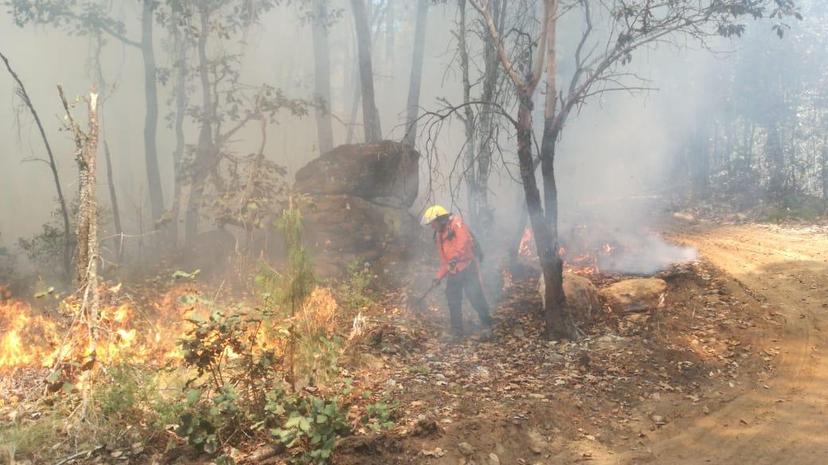 Reportan incendio forestal en La Mesa Atotonilco