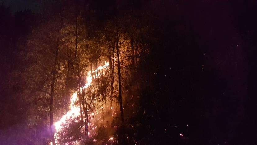 27 incendios arrasan 160 hectáreas en Huauchinango