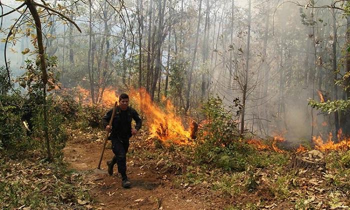 Consume incendio 12 hectáreas de bosque en Chignahuapan