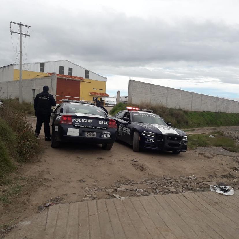 Policía Federal halla bodega con vehículos robados, en Libres