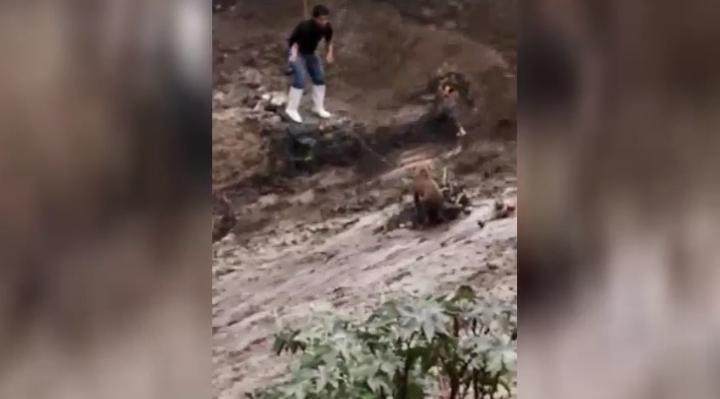 VIDEO Arriesgó su vida por salvar a perrito en barranca de Acatzingo