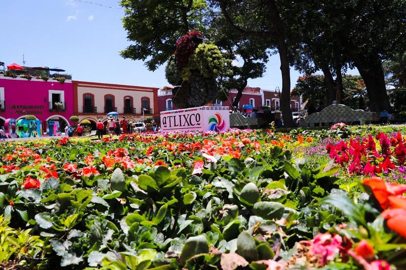 Atlixco coloca el tradicional Tapete de Flores