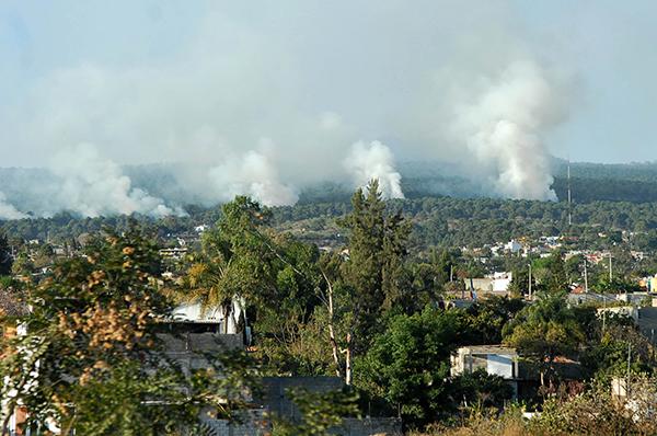 Elementos naturales dificultan el combate de incendios forestales