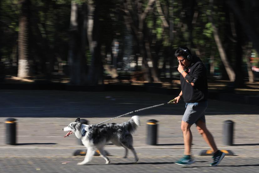 Corriendo, caminando o en bicicleta, poblanos hacen suya la Vía Recreativa