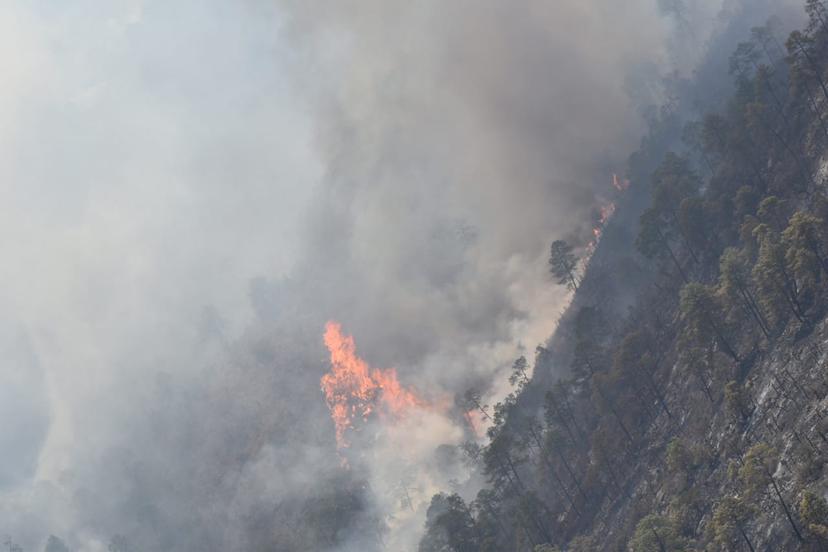 Tlachichuca va primer lugar en incendios forestales de 2020: CONAFOR