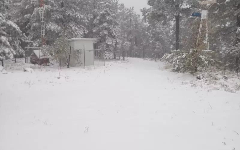 Chihuahua está alerta por segunda tormenta invernal