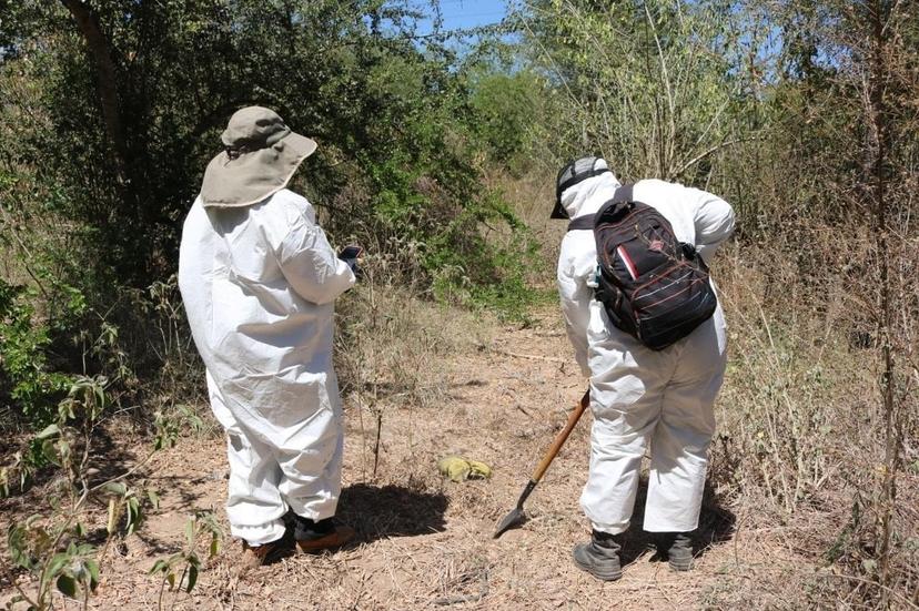 Madres de desaparecidos rompen cuarentena para seguir búsqueda