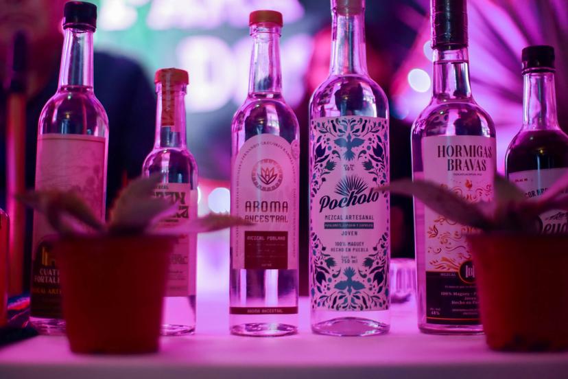 Experiencia Mexcal, evento que fusionará a los estados productores de mezcal