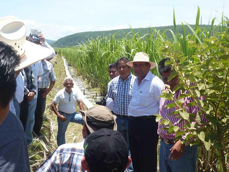 Concretan Sagarpa y Conagua compromiso de EPN en Atencingo