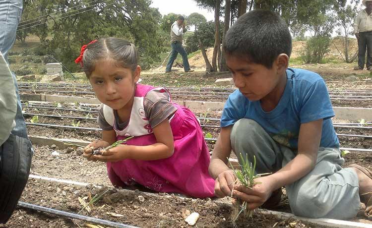 Instala Sagarpa huertos familiares en comunidades marginadas