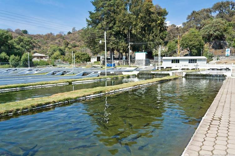 Sin recuperarse empresas afectadas por el ataque a las Torres Gemelas