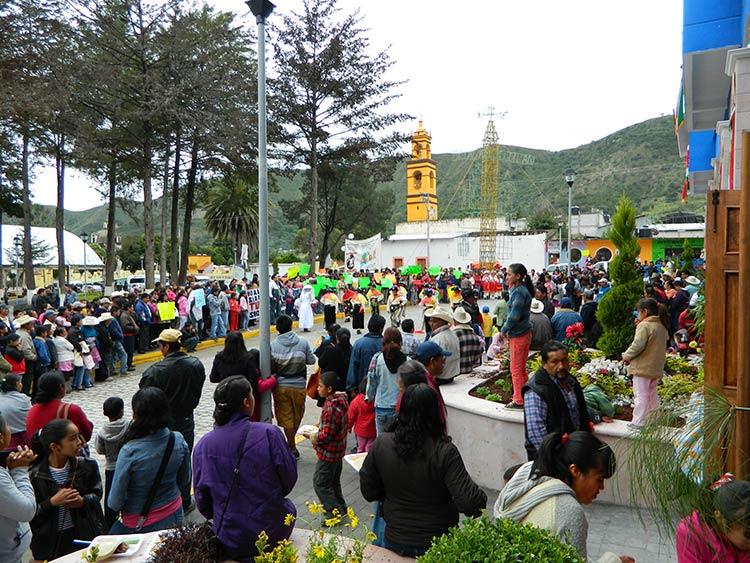 Piden retirar uso de suelo a Almaden para impedir explotación minera