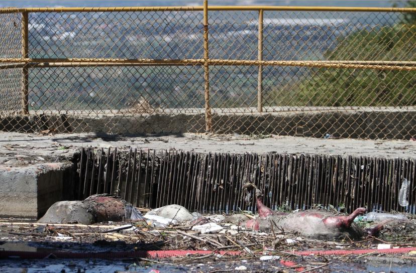 Advierten por sustancias cancerígenas por lavanderías en Tehuacán 