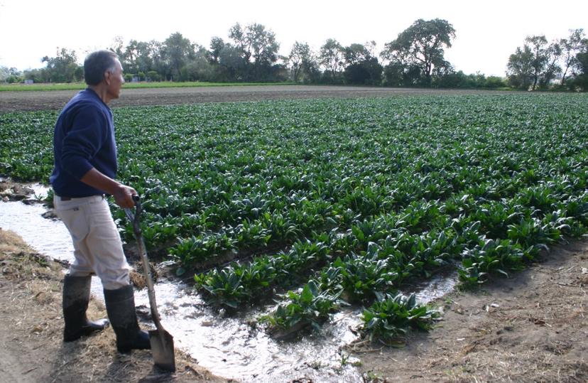 Adeudan labriegos de Texmelucan 20 años de cuotas a la Conagua