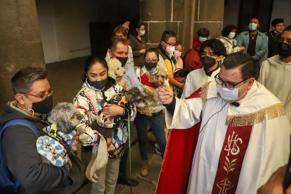 Mascotas reciben la bendición de San Antonio Abad