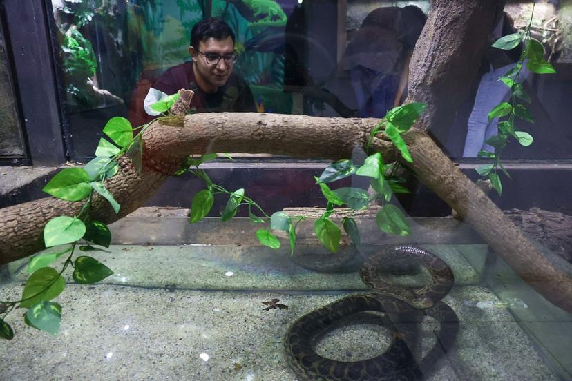 VIDEO Disfruta una Noche de Museos con ligera lluvia