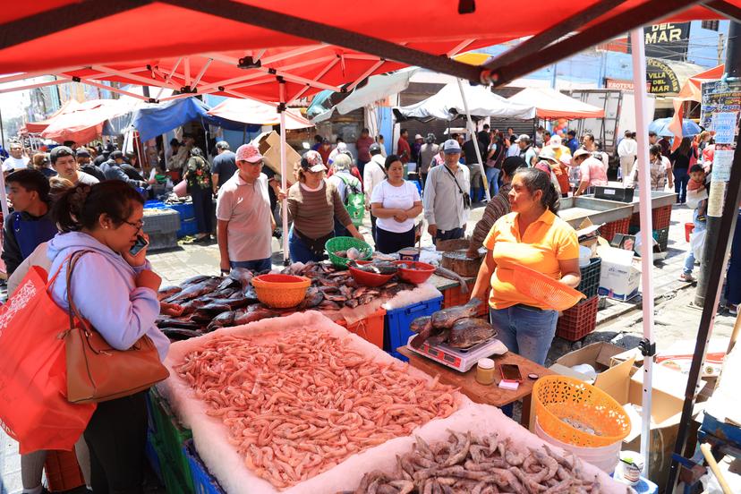 Disfrutas de los mariscos en esta época, sigue estas recomendaciones