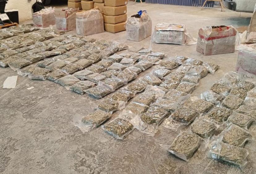 Vinculan a proceso a José y Martín por posesión de 240 kilos de marihuana