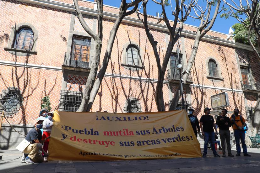 Se manifiestan por ecocidio en Plaza de la Democracia