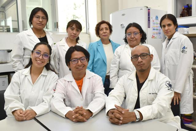 Extractos de pápalo y pipicha inhiben crecimiento de bacterias patógenas: BUAP