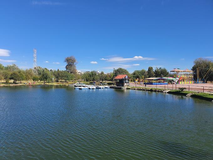 Con pejelagarto combaten sobrepoblación de peces en El Ameyal