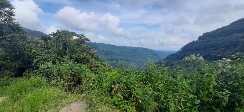 Cuetzalan, listo para recibirte con olor a café 