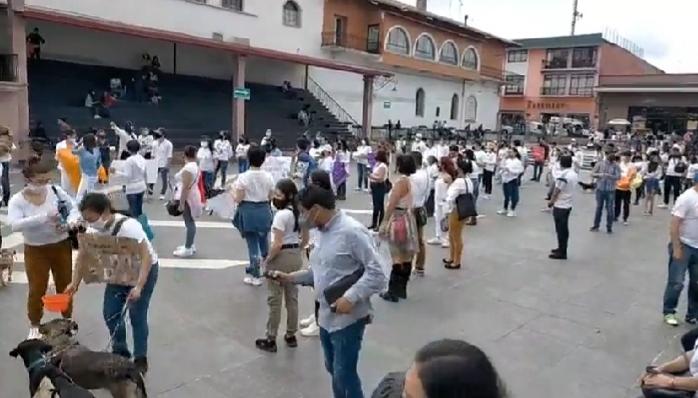 Protestan en Teziutlán por envenenamiento de perros