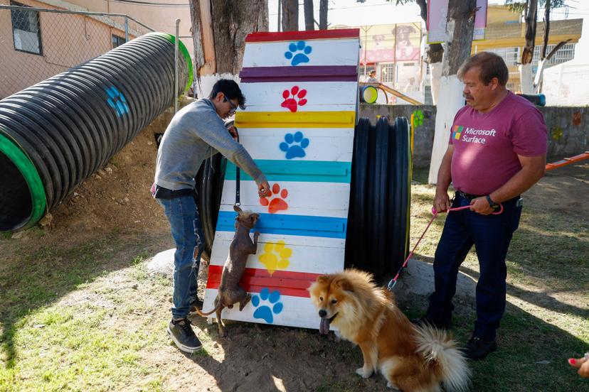 Brinda Revista del Consumidor recomendaciones para elegir pensión de mascotas