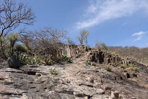 Visita los Prismas Basálticos de Zapotitlán Salinas
