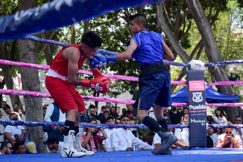 Llega a su fin el Torneo de los Barrios de Box