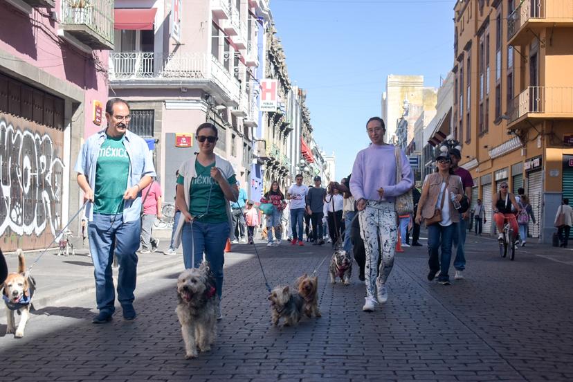 Fue un ladrido fuerte por el amor a los animales