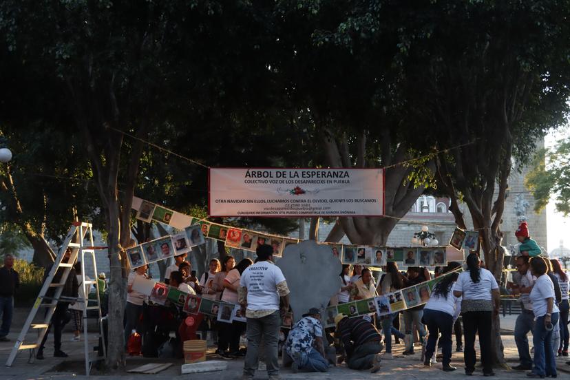 VIDEO Colectivo Voz de los Desaparecidos coloca Árbol de la Esperanza