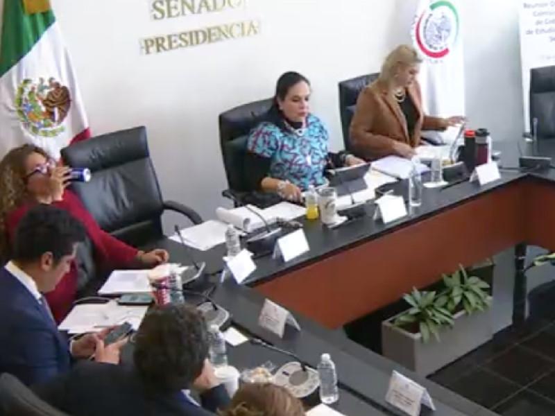 VIDEO Avanza en Comisión del Senado Plan B electoral