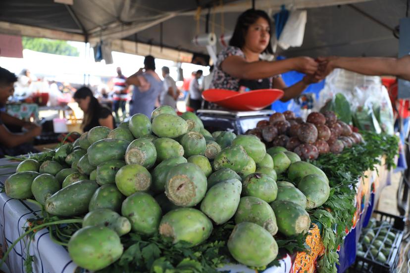 Esperan a 10 mil visitantes en Feria del Nopal Tlaxcalancingo 2025